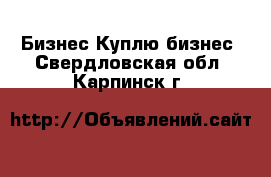 Бизнес Куплю бизнес. Свердловская обл.,Карпинск г.